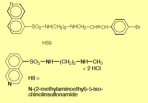 formula of H8H89