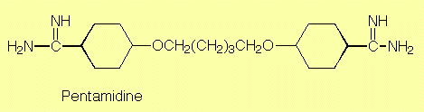 formula of pentamidine