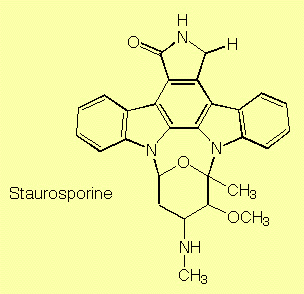 formula of staurosporine